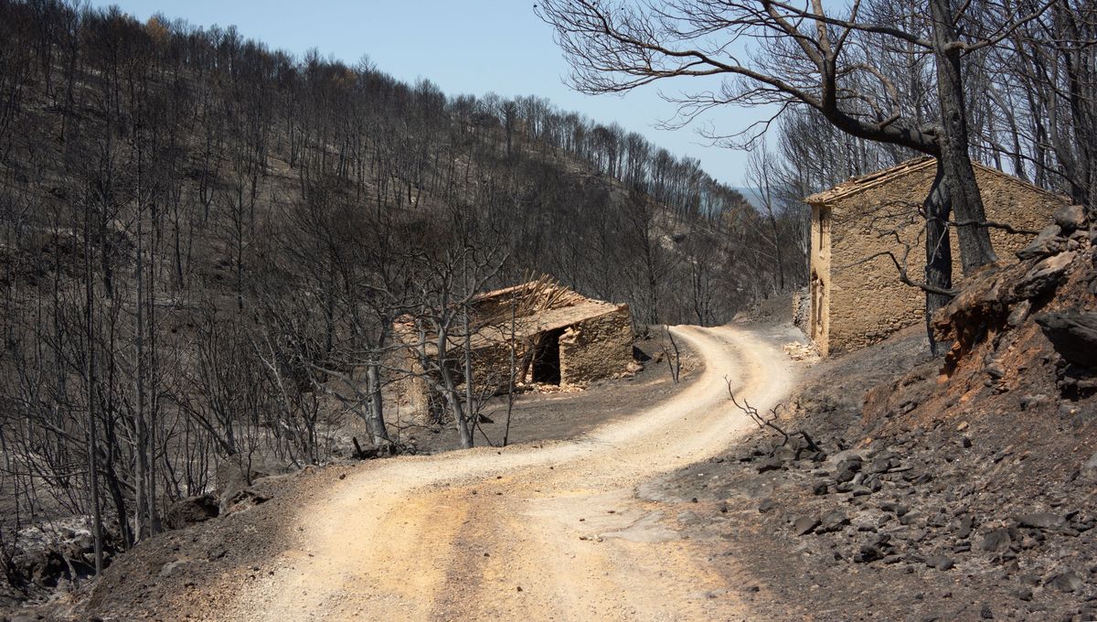 , Incendie dans l&rsquo;Aude : appel de l&rsquo;AMF &agrave; la solidarit&eacute; en faveur des communes sinistr&eacute;es des Corbi&egrave;res