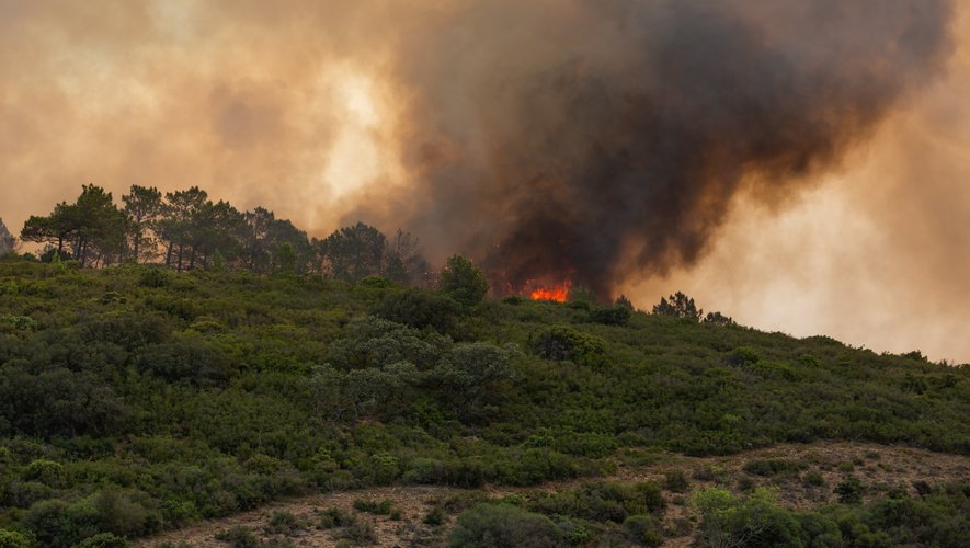 , Violent incendie dans l’Aude : la Ville de Perpignan apporte son soutien aux sinistrés et annonce une aide financière