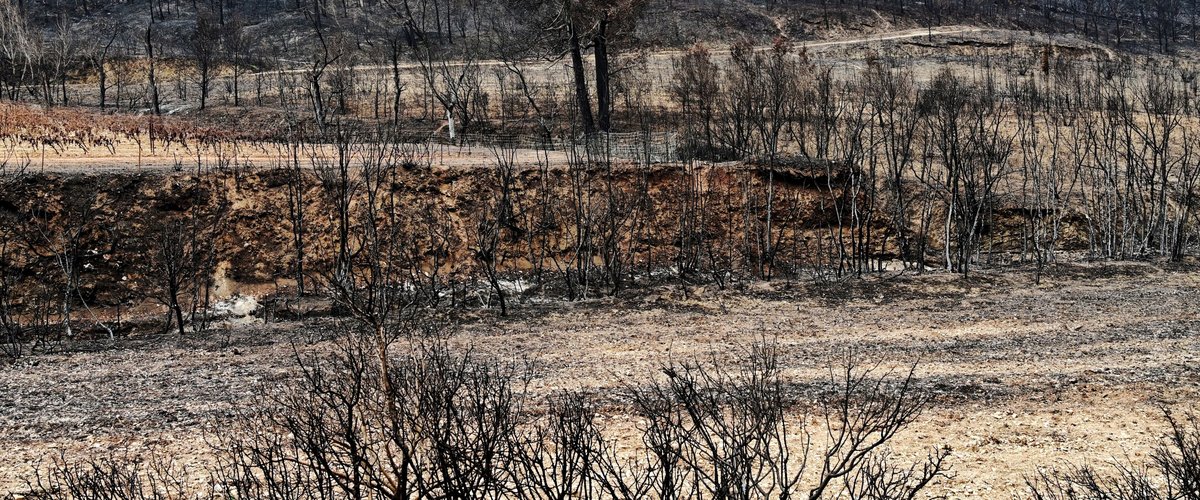 , Incendie des Corbières : la Ville de Carcassonne vote une subvention de 17 000 € en faveur des communes sinistrées