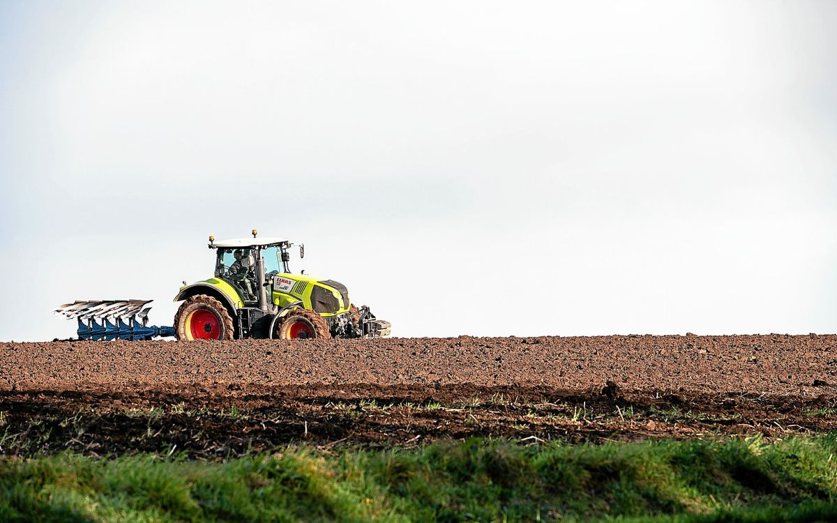 , Élus locaux : « Même si leur poids décline, les agriculteurs restent surreprésentés »