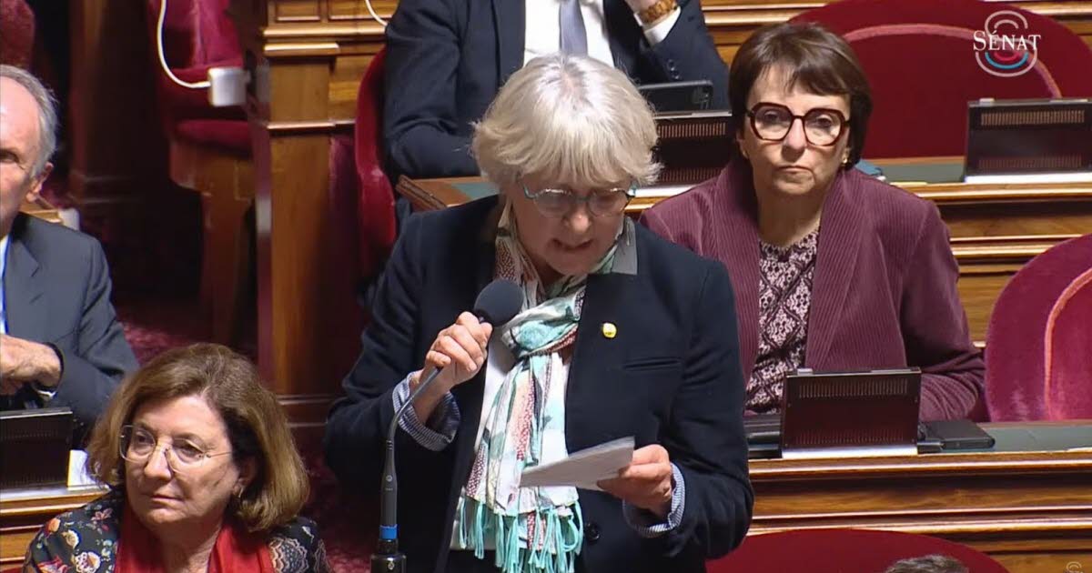 Saône-et-Loire La sénatrice Paulette Matray a demandé au gouvernement des mesures pour faciliter la formation des élus